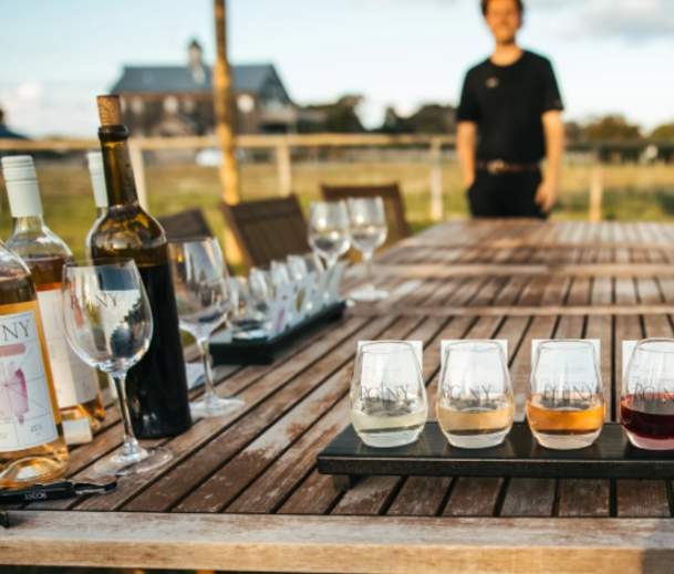Wine Glasses